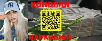 jwh Пенза