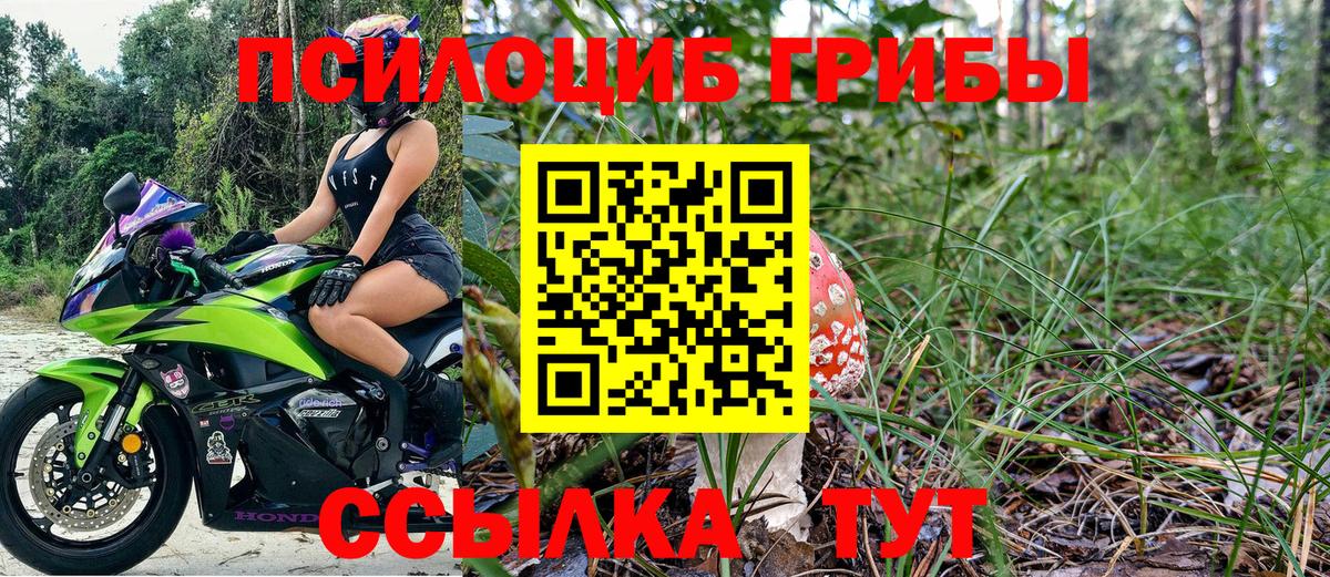 Галлюциногенные грибы ЛСД Родники