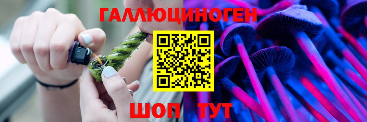 Псилоцибиновые грибы Psilocybe  Вход с VPN  Родники 